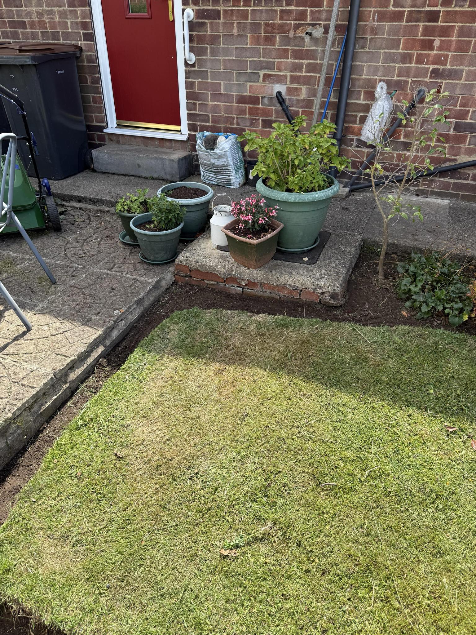 After garden makeover - cleaned flower beds and fresh lawn 3