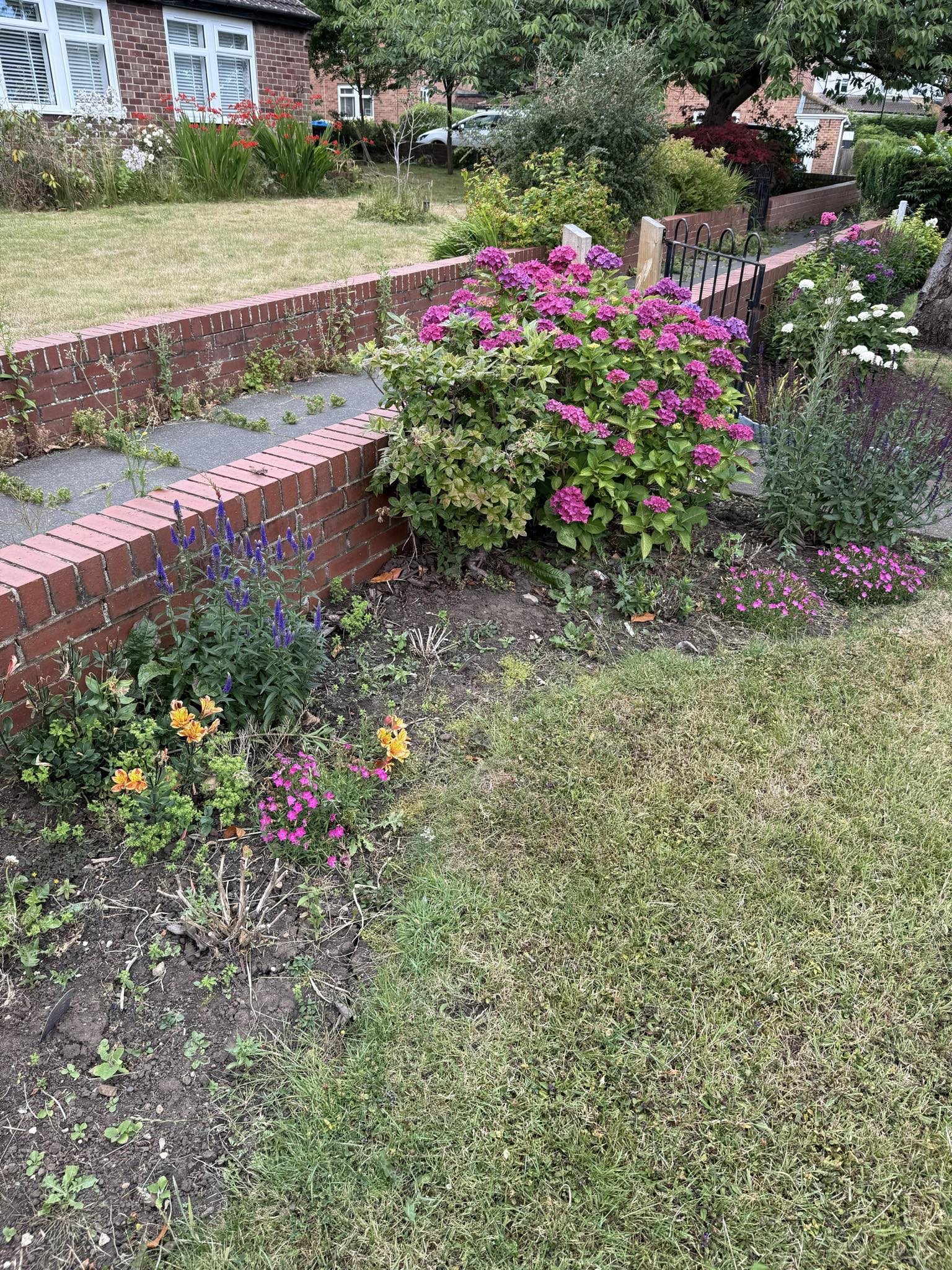 Before garden makeover - flower beds and lawn area 2