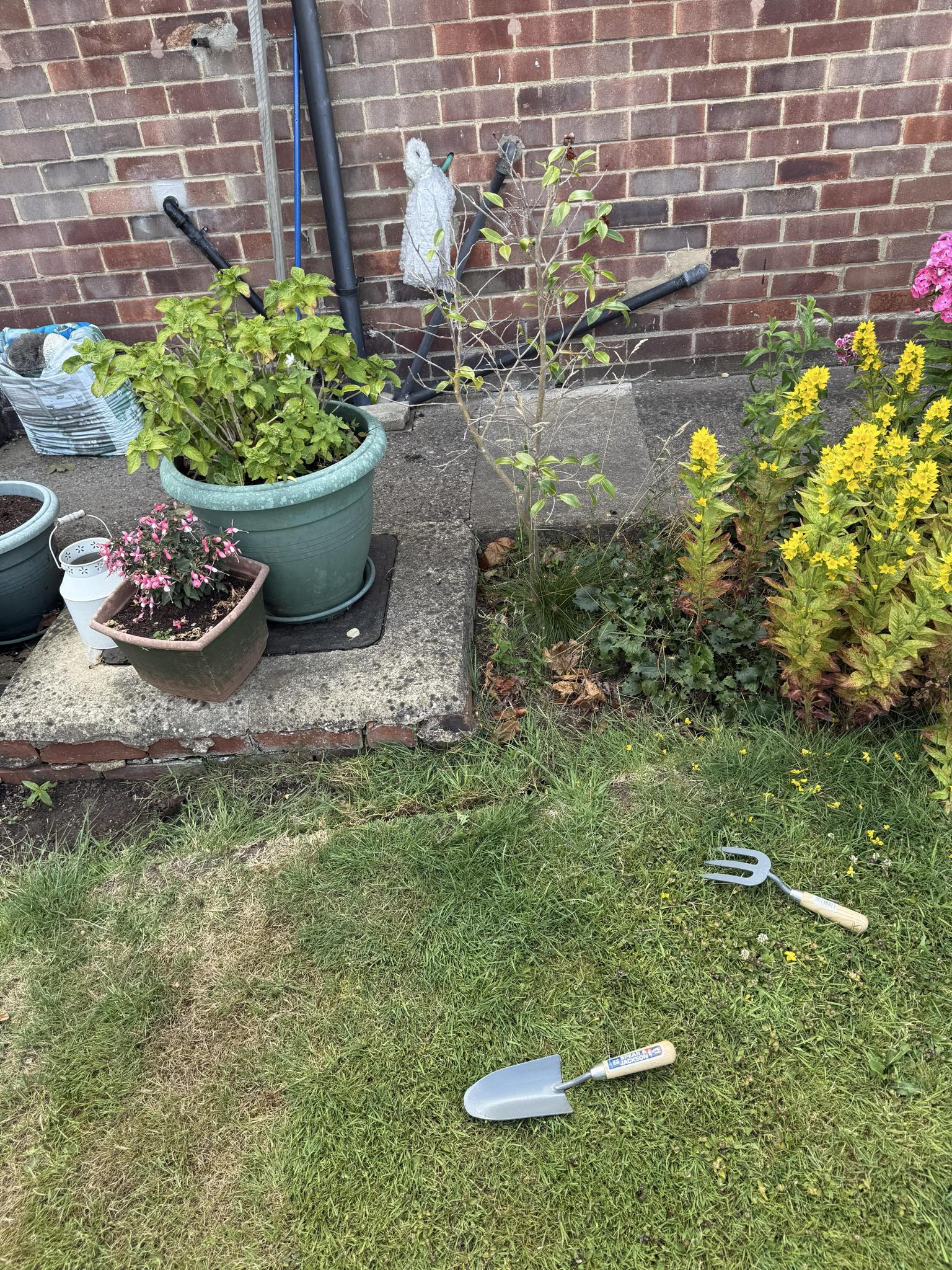 Before garden makeover - flower beds and lawn area 3