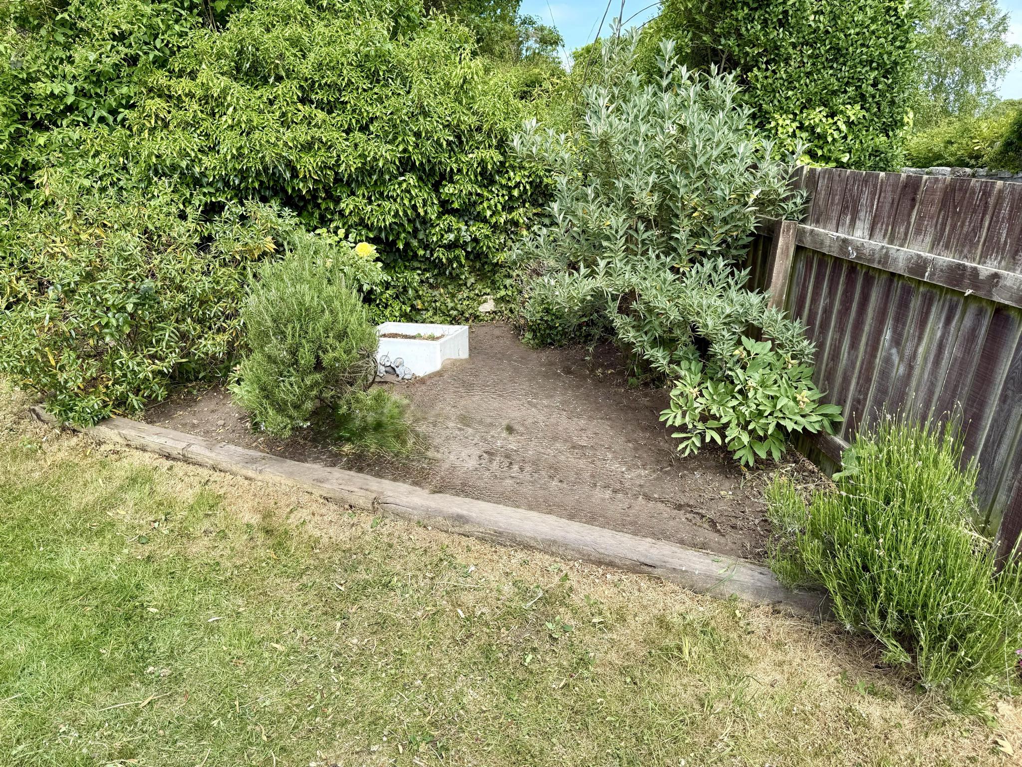 After weed clearance & wood revival - professional garden service results